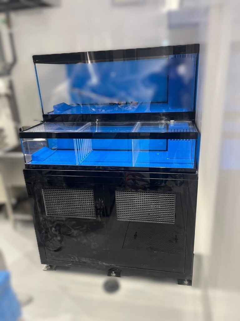 潮1200ZW　新規導入　活魚水槽